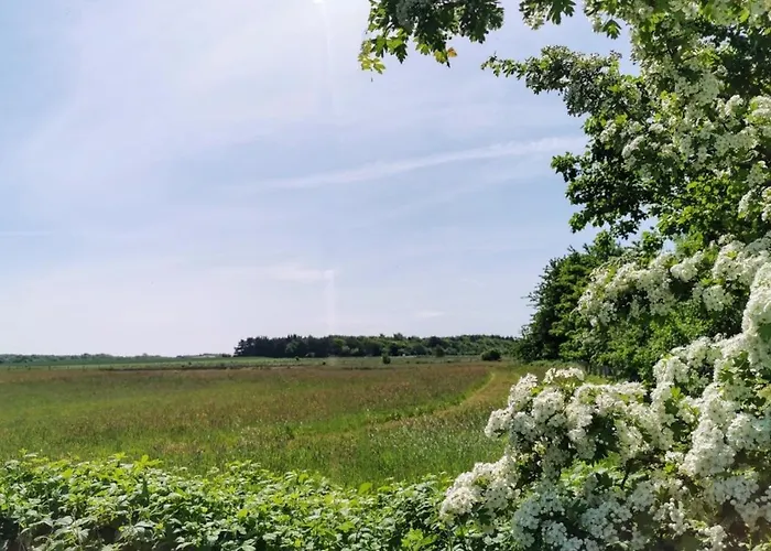 Litzkow 16501 Appartement Archsum